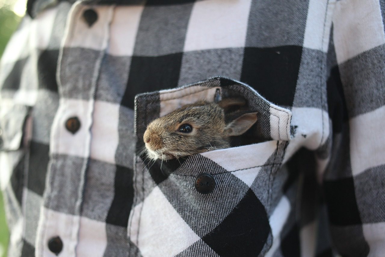 25 cool t-shirt life hacks and decor ideas