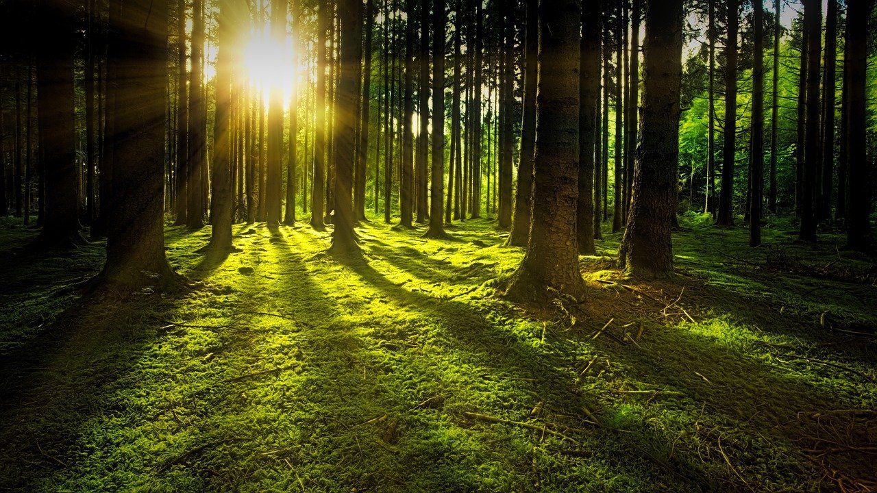 Life is Good – Sustainable Living
