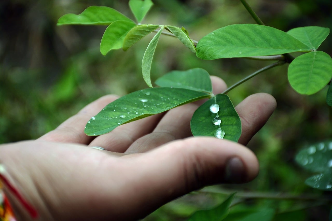 20 Ways to Save Water at Home