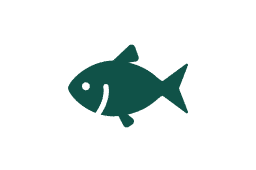 life below water