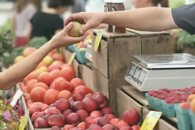 Überblick über die Plattform Eco-Marketplace