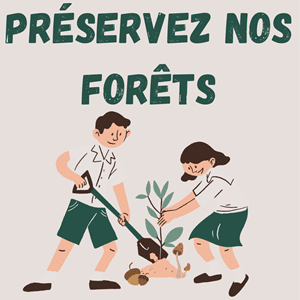 Images des enfants en train de planter un arbre