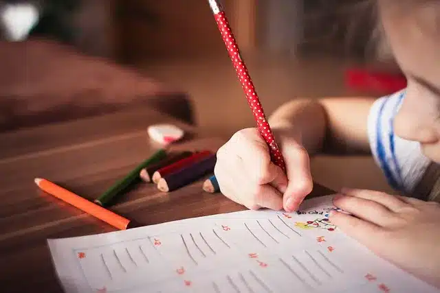 Kinder nehmen an einer Öko-Lerneinheit teil